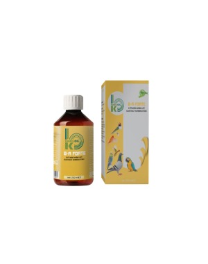 B-A Forte B Vitamini Amino Asit Elektrolit Kombinasyonu 250 ml