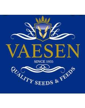 VAESEN Mix 10 Perillalı Şalgamsız Ve Yulafsız Karışık Kanarya Yemi 20 Kg