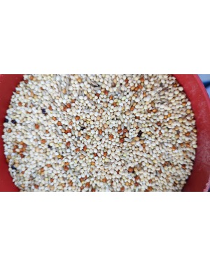 Seba %15 Aspurlu Muhabbet Kuşu Yemi 20 kg (Kargo Dahil)