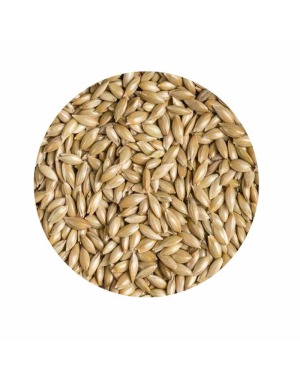 Sade Yem Aspur 1 kg