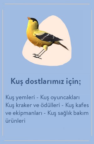 KUŞ